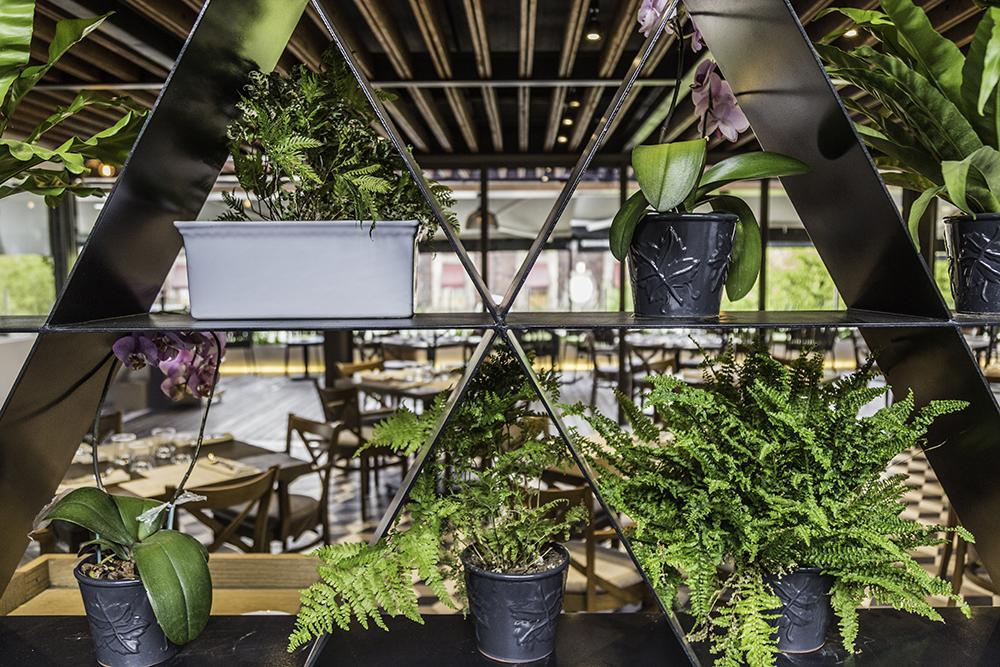 Domingo Santo Hotel Boutique (Adults Only) Μεξικό Εξωτερικό φωτογραφία